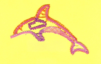 dolphin on yellow