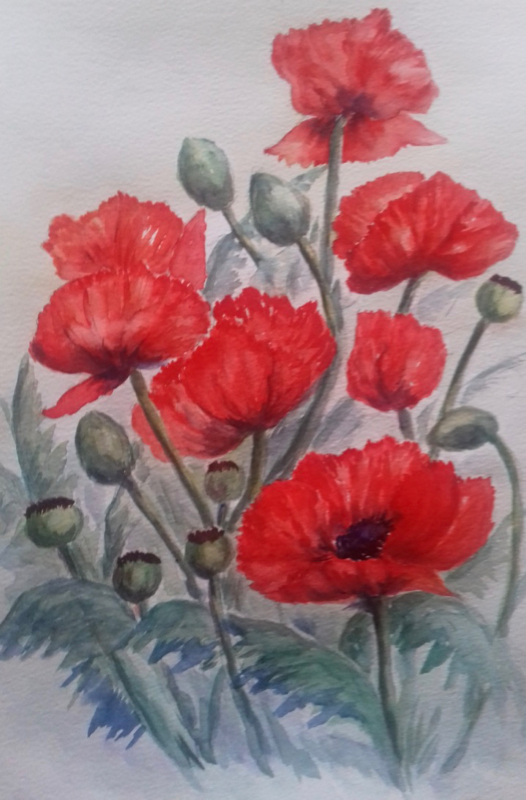 Poppies by Andrea