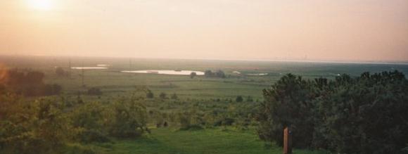 High Halsow marshes - 12Kb