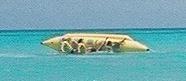 banana boat.jpeg - 3922 bytes