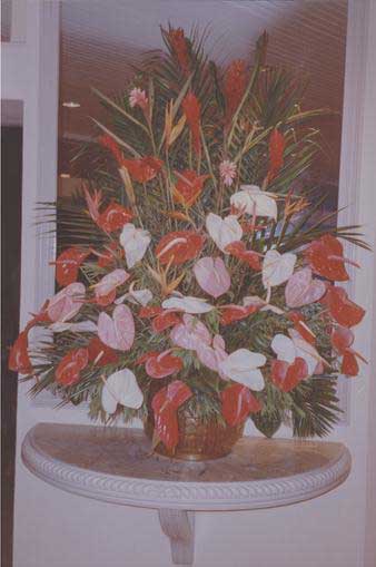 Anthuriums - 27Kb